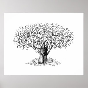 Tree of Life - animals Poster