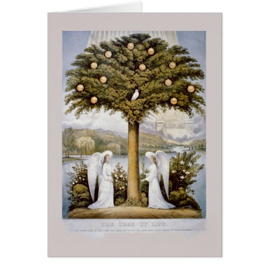 &,'Tree of Life' Card