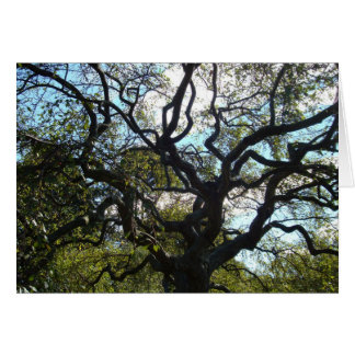 Tree of Life Card