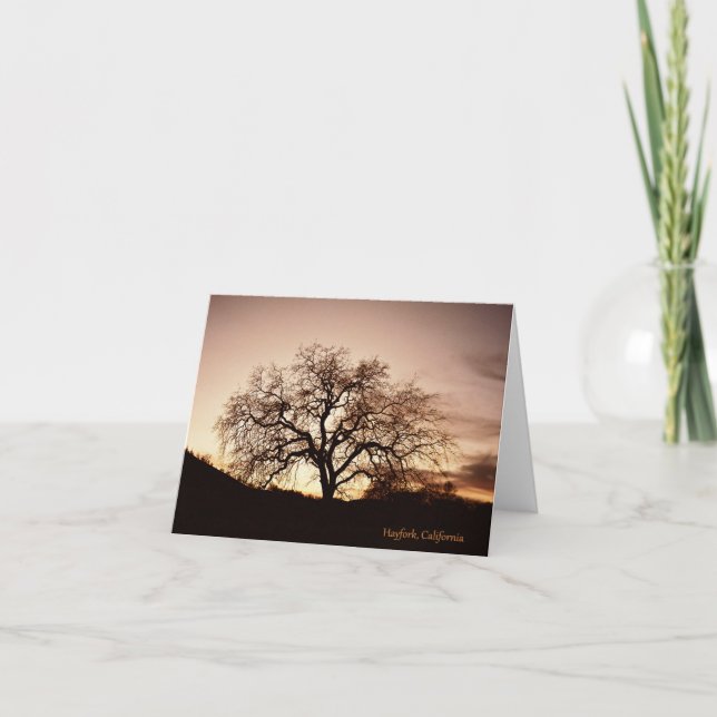 Tree of Life... Card (Front)