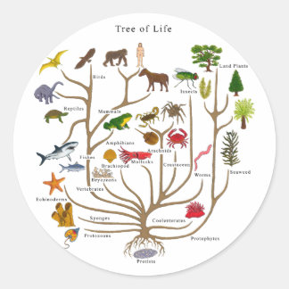 Tree Of Life Classic Round Sticker
