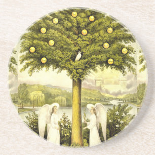 Tree of Life coaster