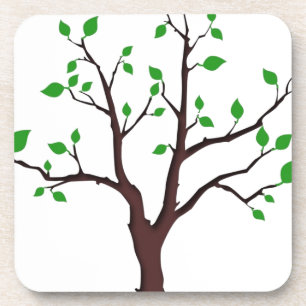 Tree of Life Coaster