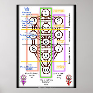 Tree of Life Diagram All Sizes Poster