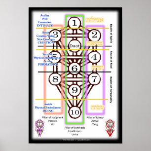 Tree of Life Diagram   Small Poster