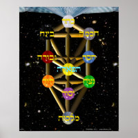 Tree of Life Diagram with Hebrew labels