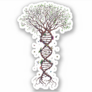 Tree of Life DNA Genetics Biology Environment