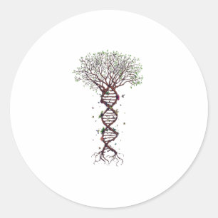 Tree of Life DNA Genetics Biology Environment Classic Round Sticker