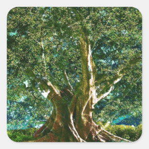 Tree of Life Green Square Sticker