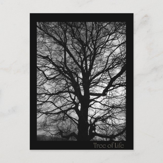 Tree of Life - Lebensbaum - Baum des Lebens Postcard (Front)