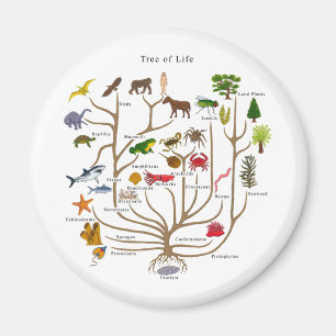 Tree Of Life Magnet