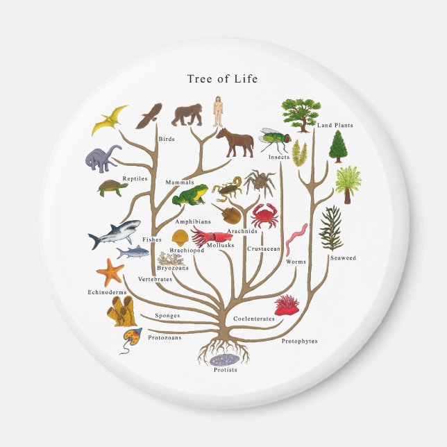 Tree Of Life Magnet (Front)