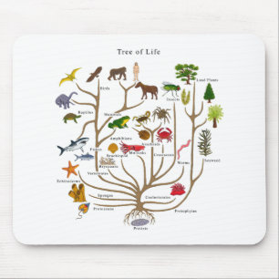 Tree Of Life Mouse Mat