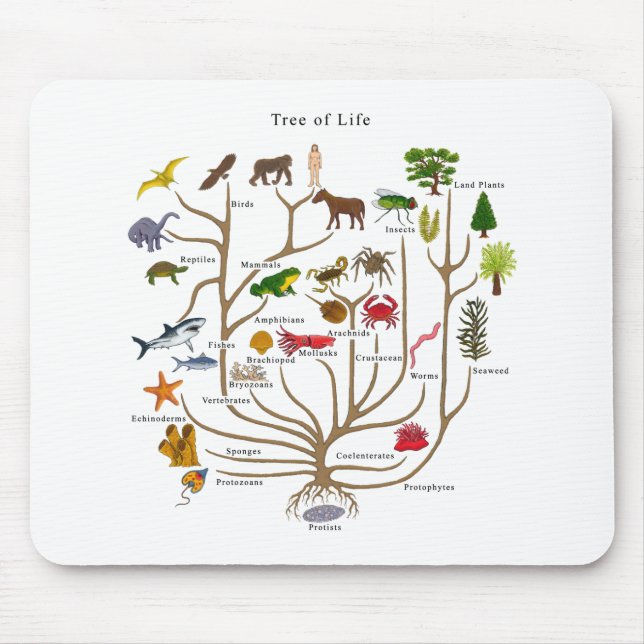 Tree Of Life Mouse Mat (Front)