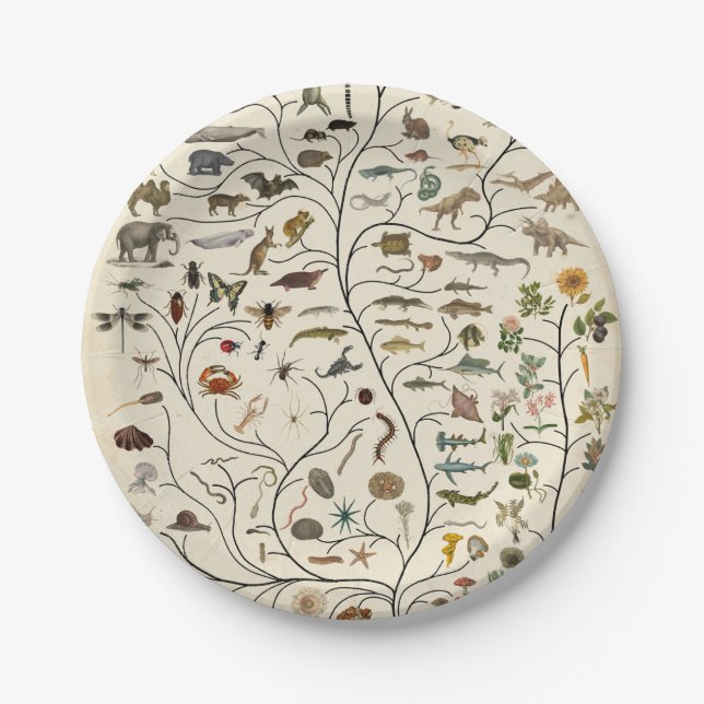 Tree of Life Paper Plate (Front)