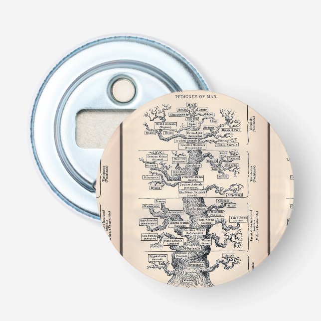 Tree Of Life / Pedigree Of Man Bottle Opener (Front)
