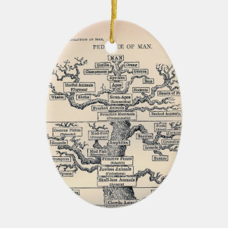Tree Of Life / Pedigree Of Man Ceramic Tree Decoration