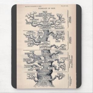 Tree Of Life / Pedigree Of Man Mouse Mat