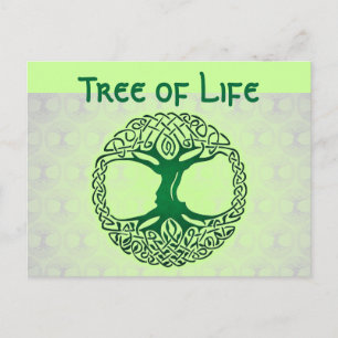 Tree of Life postcard