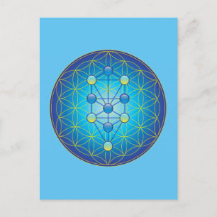 Tree Of Life Postcard