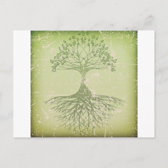 Tree of Life Postcard (Front)
