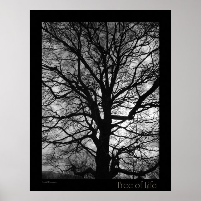 Tree of Life Poster (Front)
