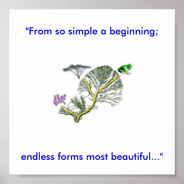 Tree of Life Poster (Front)