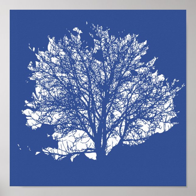 Tree of Life Poster (Front)