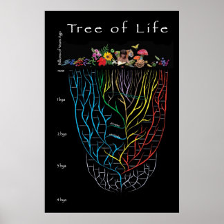 Tree of Life Poster