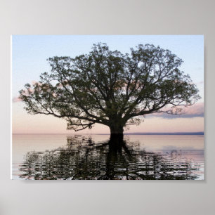 Tree of Life (Reflections) Poster