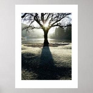 Tree of Light: Derwentwater, Cumbria Poster
