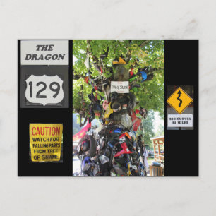 Tree of Shame Postcard