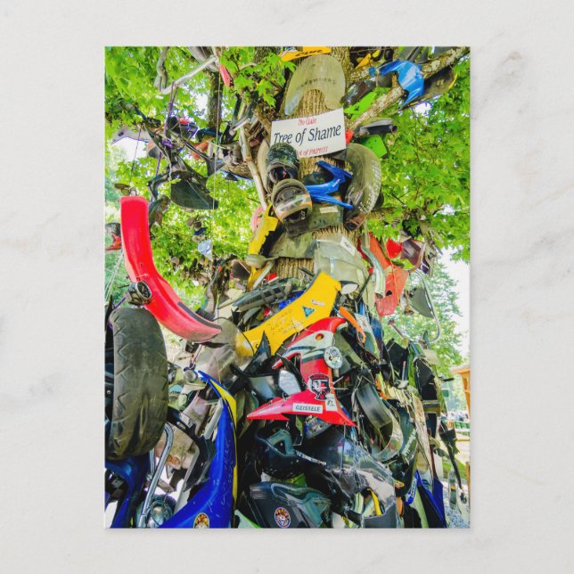 tree of shame tail of the dragon postcard (Front)