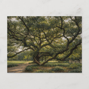 Tree of Southern Life Live Oak Art Postcard