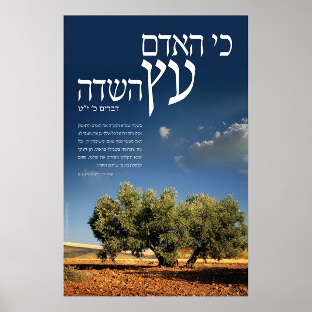 Tree of the Field Poster (Front)