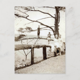Tree Of The Past Postcard