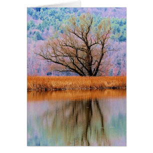 Tree of Transition