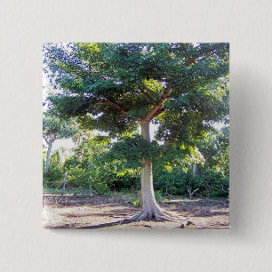 Tree of Wisdom-button 15 Cm Square Badge