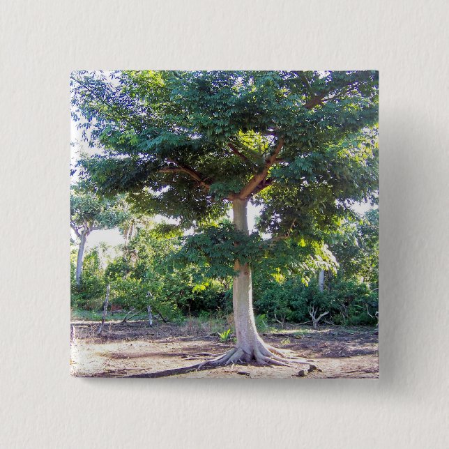 Tree of Wisdom-button 15 Cm Square Badge (Front)