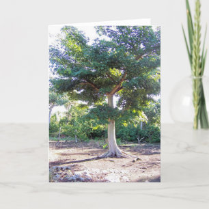 Tree of Wisdom-greeting cards