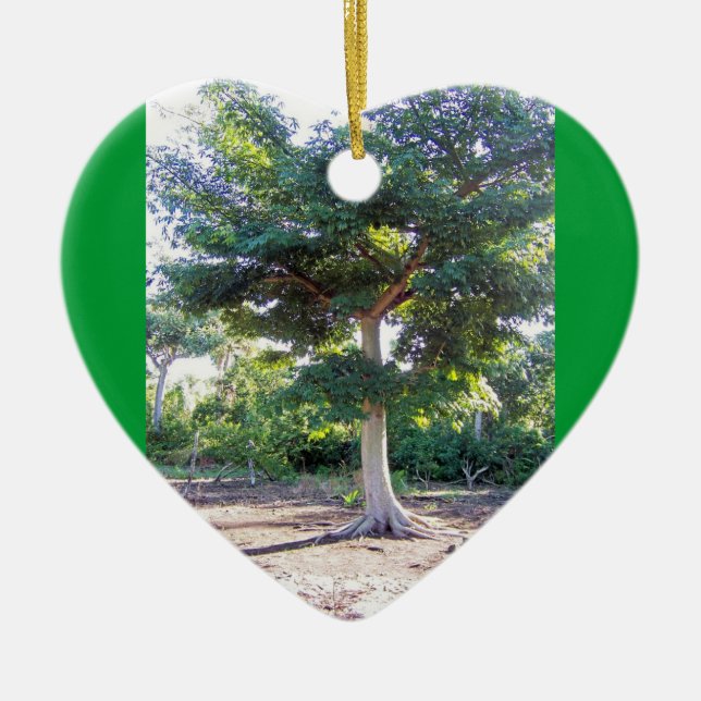 Tree of Wisdom-heart ornament (Front)