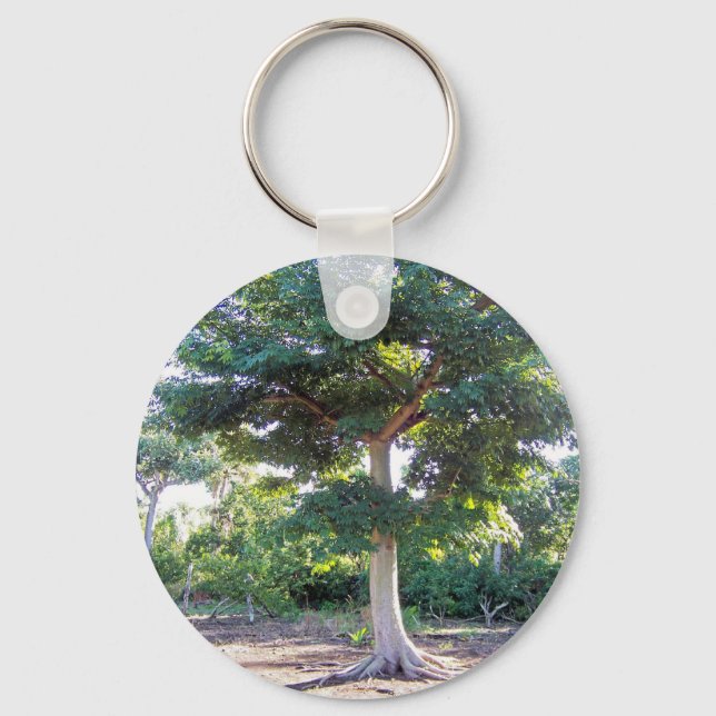 Tree of Wisdom-keychain Key Ring (Front)