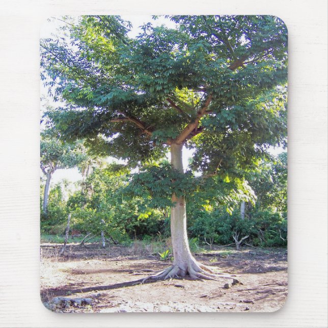 Tree of Wisdom-mousepad Mouse Mat (Front)