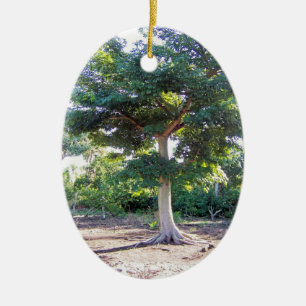Tree of Wisdom-oval ornament