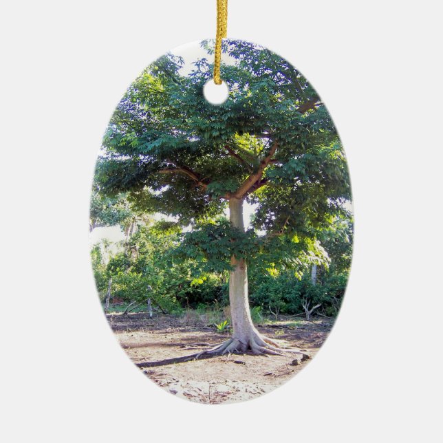 Tree of Wisdom-oval ornament (Front)
