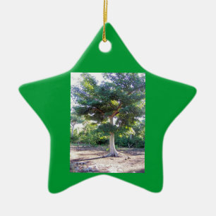 Tree of Wisdom-star ornament