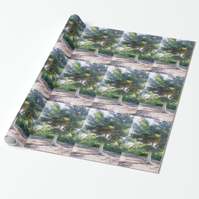 Tree of Wisdom-wrapping paper (Unrolled)