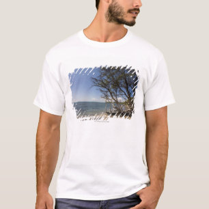 Tree On A Beach Along The Coastline T-Shirt