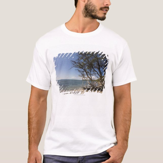 Tree On A Beach Along The Coastline T-Shirt (Front)