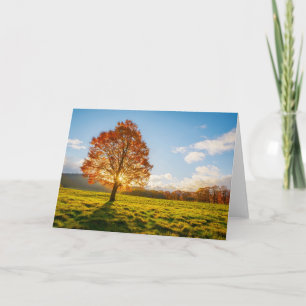 Tree on Fire Card